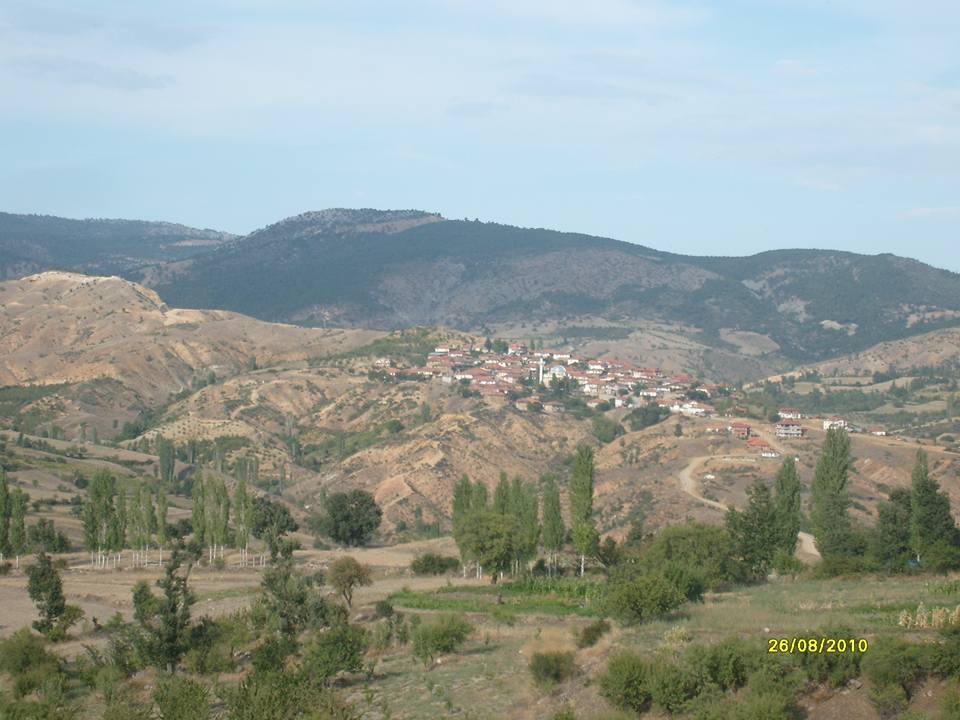Turgay Asmalıkaya 26 Temmuz 2010 2